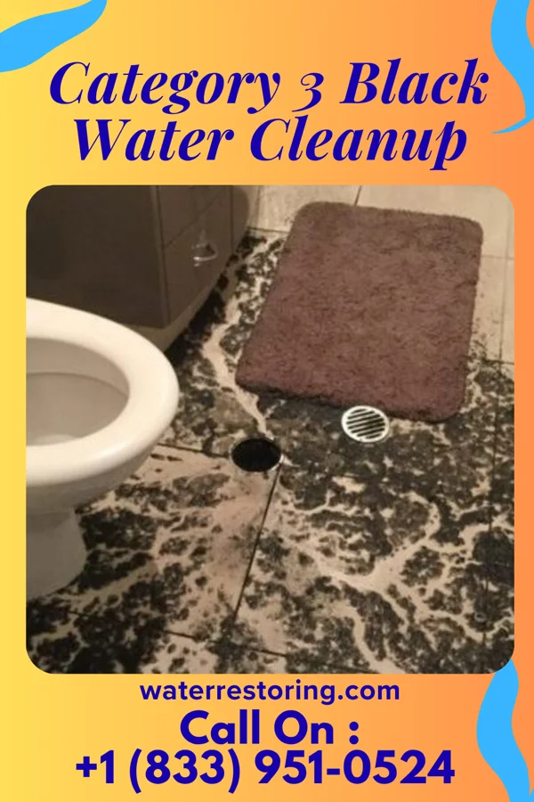 Category 3 Black Water Cleanup in New Freedom, PA