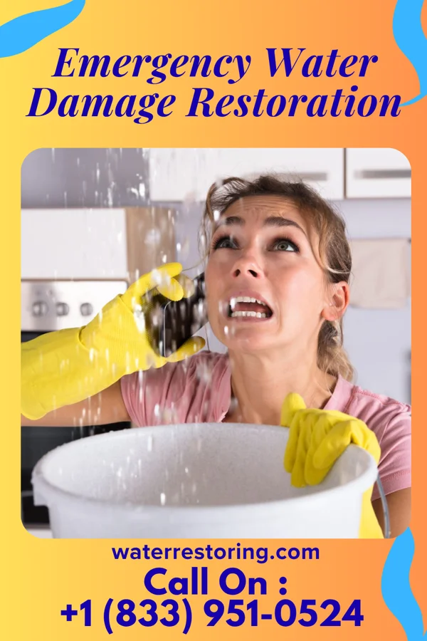 Emergency Water Damage Restoration in New Freedom, PA
