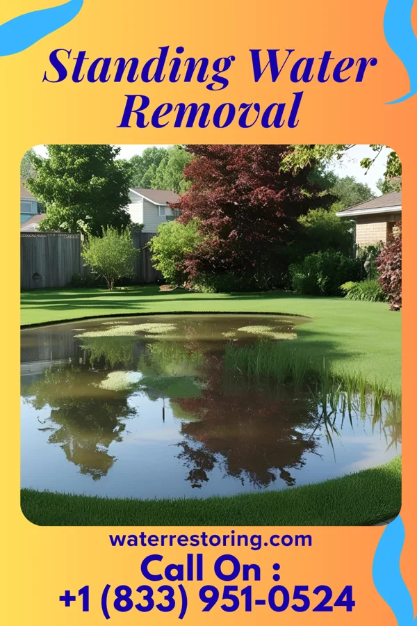 Standing Water Removal in New Freedom, PA